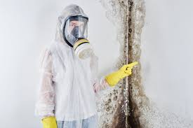 Best Industrial Mold Remediation in Kissee Mills, MO